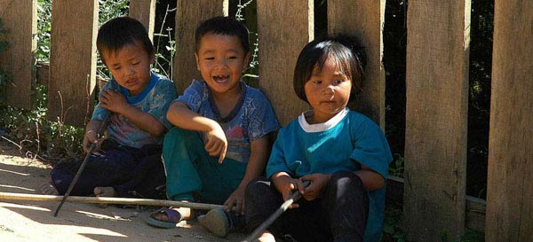 无感知升级的小七短信在线网页轰炸